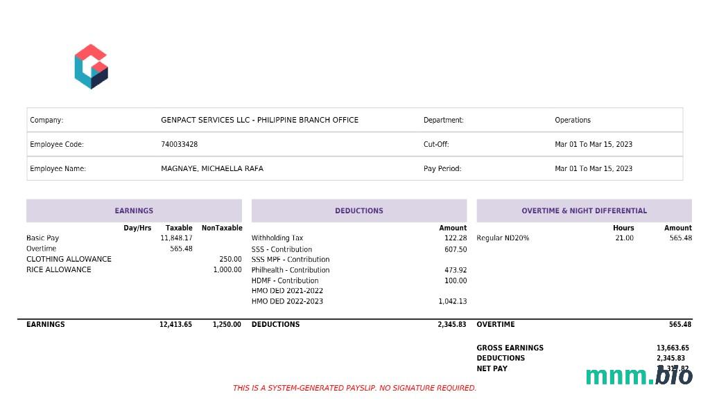Genpact Services artificial intelligence payslip template w formatach Word i PDF